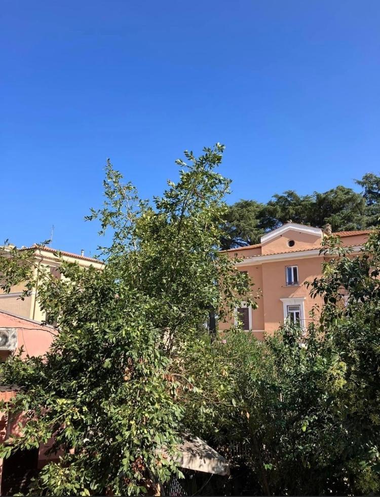 Casa Di Vivi, Comoda Per Il Centro, Il Vaticano Ed Il Gemelli โรม ภายนอก รูปภาพ